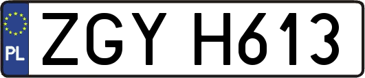 ZGYH613
