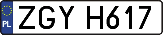 ZGYH617