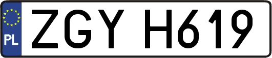 ZGYH619