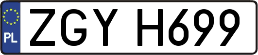 ZGYH699