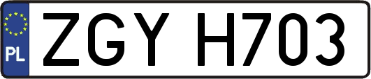 ZGYH703