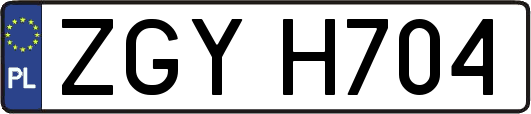 ZGYH704