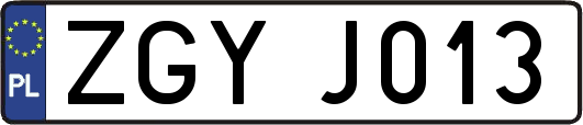 ZGYJ013
