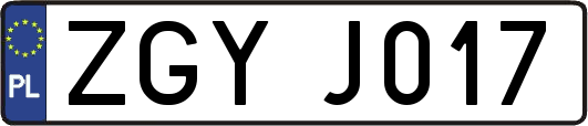 ZGYJ017