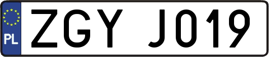ZGYJ019
