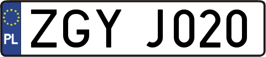 ZGYJ020
