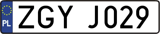 ZGYJ029