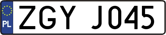 ZGYJ045