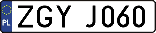 ZGYJ060