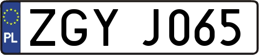 ZGYJ065
