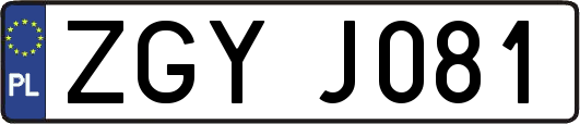 ZGYJ081