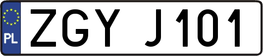 ZGYJ101
