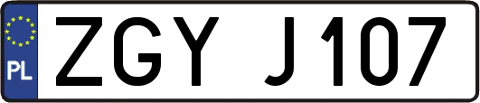 ZGYJ107