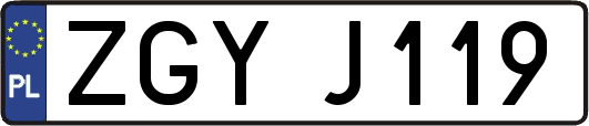 ZGYJ119