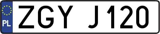ZGYJ120