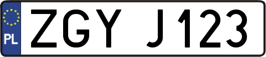 ZGYJ123