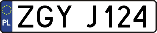 ZGYJ124