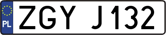 ZGYJ132