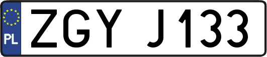ZGYJ133