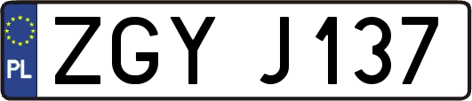 ZGYJ137