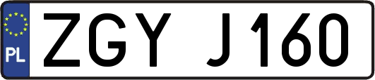 ZGYJ160