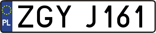 ZGYJ161