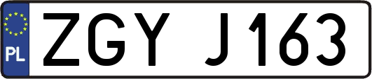 ZGYJ163