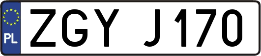 ZGYJ170