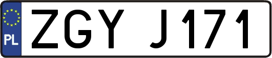 ZGYJ171