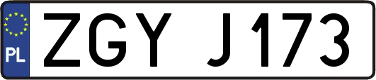 ZGYJ173