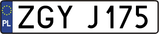 ZGYJ175