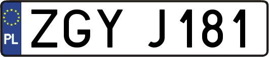 ZGYJ181