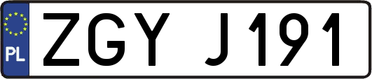 ZGYJ191