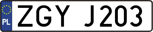 ZGYJ203