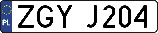 ZGYJ204