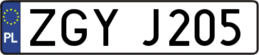 ZGYJ205