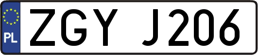 ZGYJ206