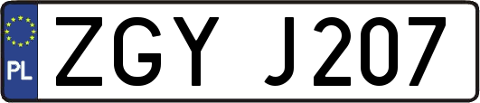 ZGYJ207
