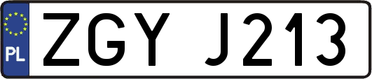 ZGYJ213