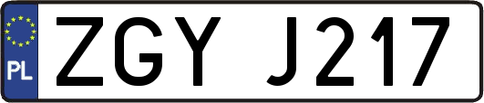 ZGYJ217