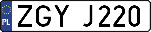 ZGYJ220
