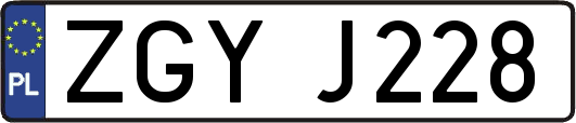 ZGYJ228