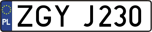 ZGYJ230
