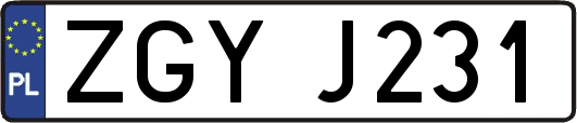 ZGYJ231