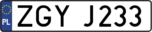ZGYJ233
