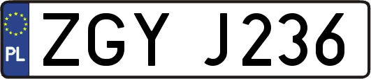 ZGYJ236