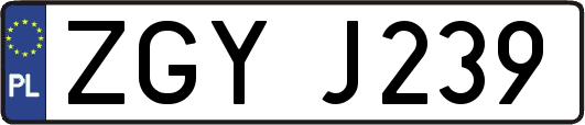 ZGYJ239