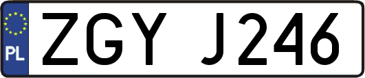 ZGYJ246
