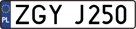ZGYJ250