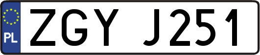 ZGYJ251